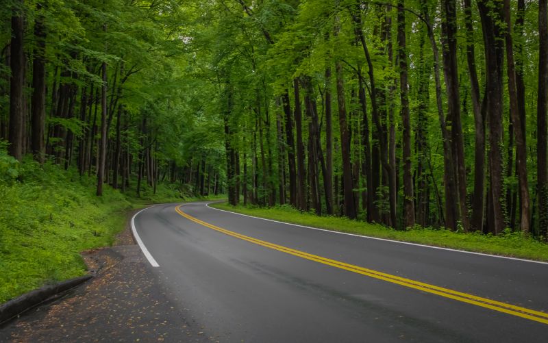 Road Coating Service in Fort Myers, FL