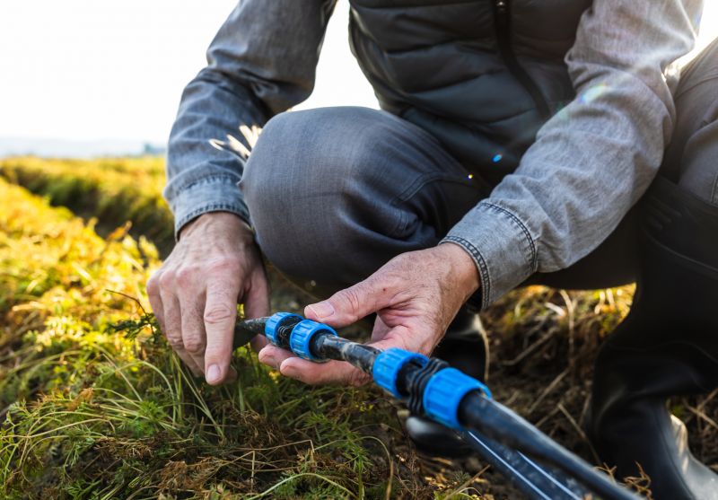 Winter Considerations